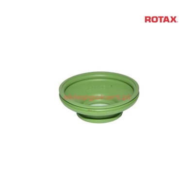 Zielona guma Rotax