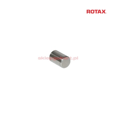 Bolczyk prowadzący Rotax