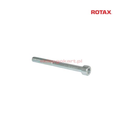 Śruba  M6x60 - 8.8 Rotax