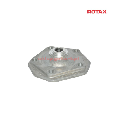 Głowica cylindra Rotax