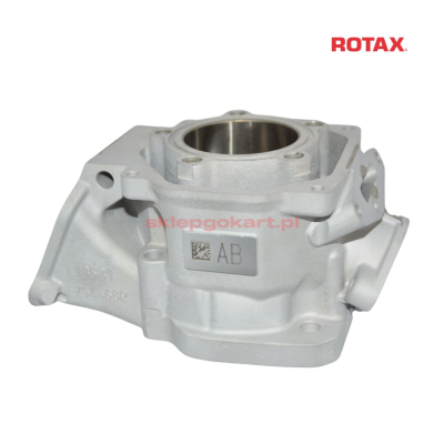 Cylinder Rotax SENIOR MAX